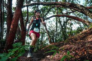 BIB: 
                            <button type="button" onclick="openModal(26345705)" class="btn btn-primary btn-sm float-right btn-popup" data-toggle="modal" data-target=".modal-high-quality">
                        <i class="fas fa-shopping-cart"></i> Add to Cart
                    </button>
                                            <button type="button" onclick="isThisMe(26345705, true)" class="btn btn-success btn-sm float-right btn-popup btn-isme hidden" data-toggle="tooltip" data-placement="bottom" title="นี่คือรูปของคุณใช่ไหม คลิกที่นี่เพื่อเอาเข้าอัลบั้ม">
                        <i class="fas fa-plus"></i> Add to album
                    </button>
                    <button type="button" onclick="isThisMe(26345705, false)" class="btn btn-warning btn-sm float-right btn-popup btn-isnotme hidden">
                        <i class="fas fa-ban"></i> Remove from album
                    </button>